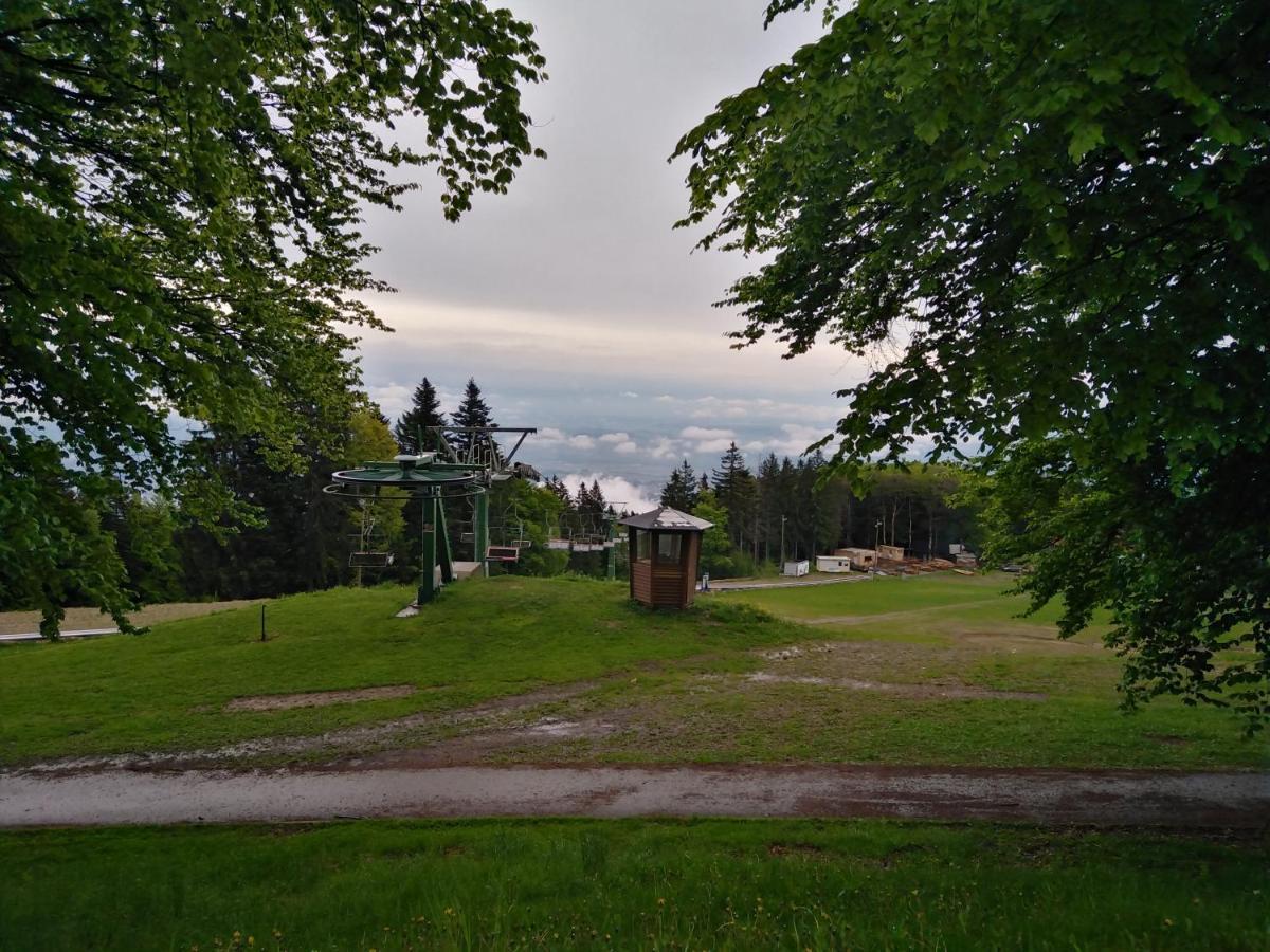 Grand Hotel Bellevue Hočko Pohorje Εξωτερικό φωτογραφία